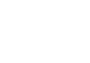 Main Street America 2025 Affiliate Logo White